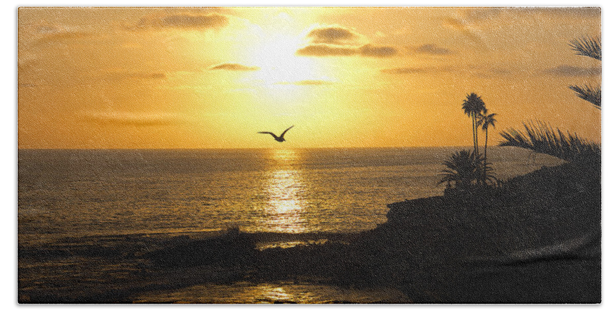 Wall Art Beach Towel featuring the photograph Laguna Sunset by Kelly Holm