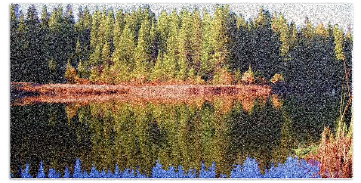 Landscape Beach Towel featuring the photograph Lake Calveras County Ca by Chuck Kuhn