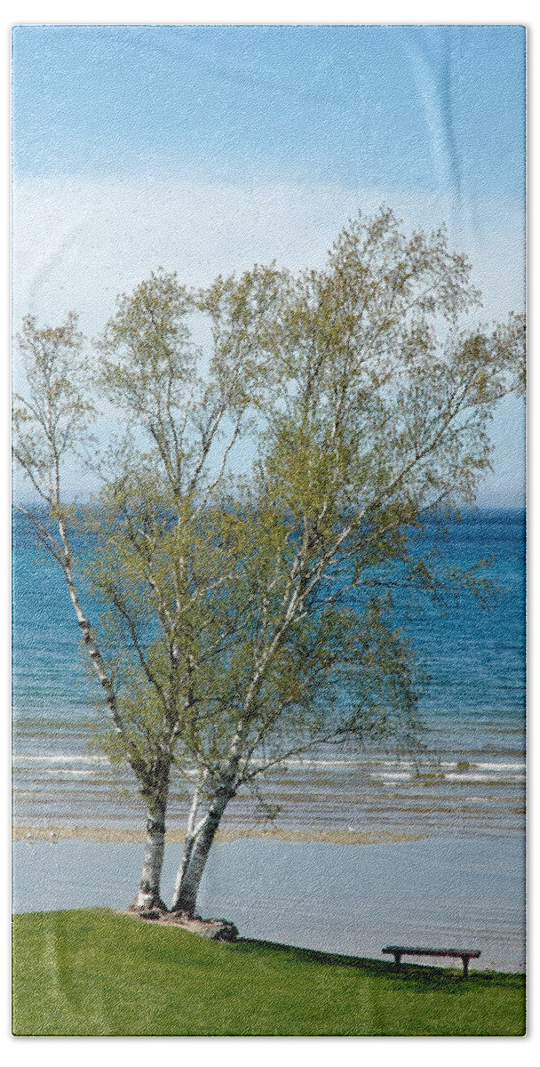 Usa Beach Towel featuring the photograph Lake Michigan Birch Tree by LeeAnn McLaneGoetz McLaneGoetzStudioLLCcom