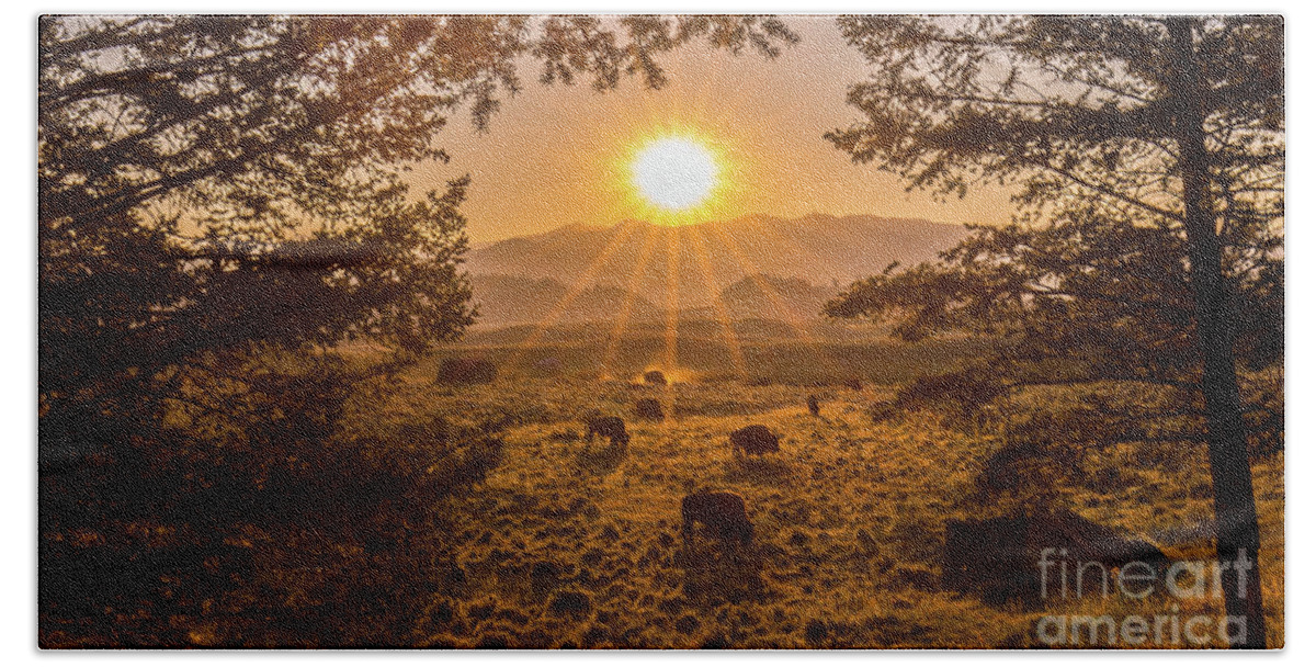 Yellowstone Beach Towel featuring the photograph Lamar Valley Sunrise by Sean Mills