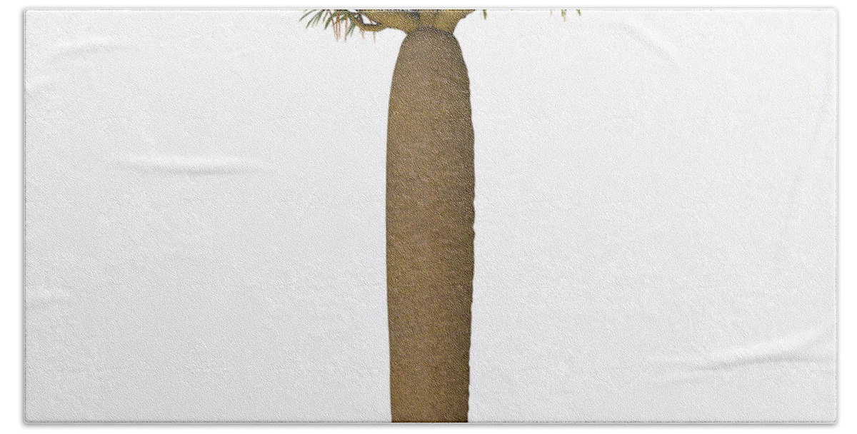 3d Illustration Beach Towel featuring the painting Large Bottle Tree by Corey Ford