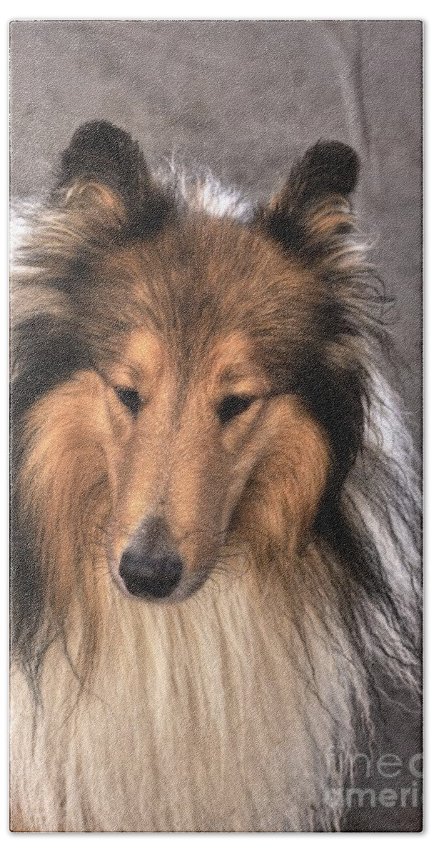 Ears Beach Towel featuring the photograph Lassie by Esko Lindell