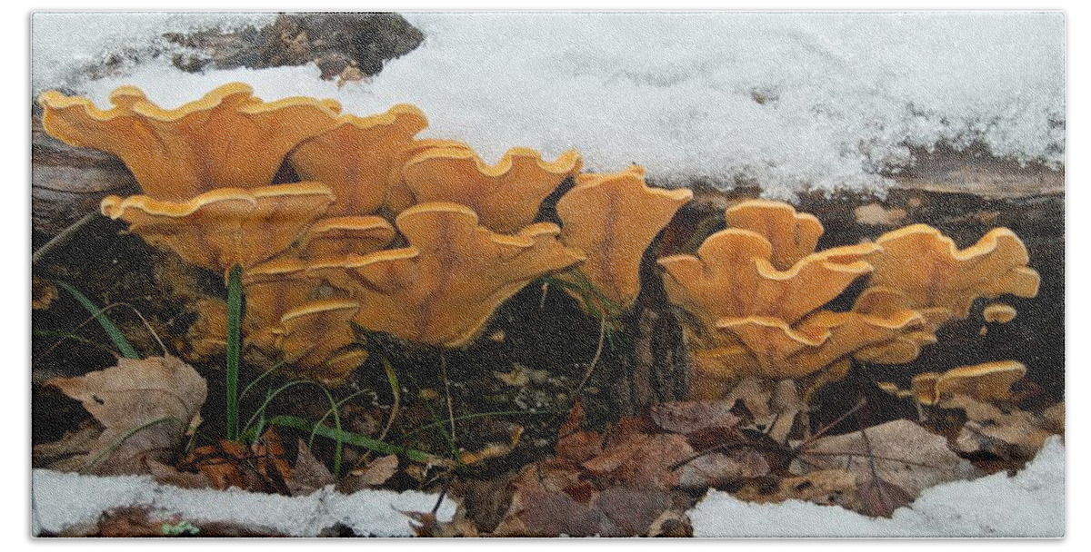 Mushroom Beach Sheet featuring the photograph Last Mushrooms of the Seasons by Michael Peychich