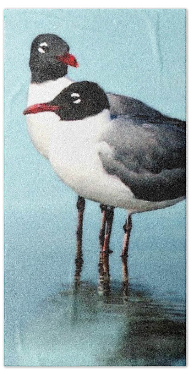 Laughing Gulls Beach Towel featuring the photograph Laughing Gulls Tranquil Moment by Barbara Chichester