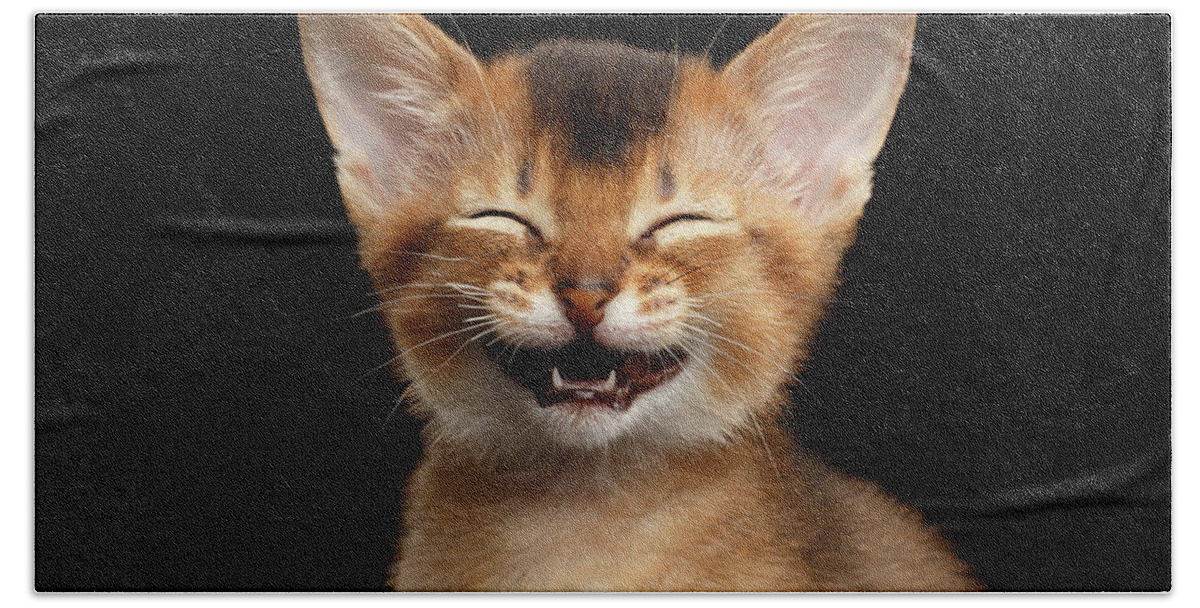 #faatoppicks Beach Sheet featuring the photograph Laughing Kitten by Sergey Taran