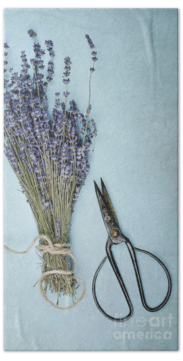 Lavender Beach Sheet featuring the photograph Lavender and Antique Scissors by Stephanie Frey