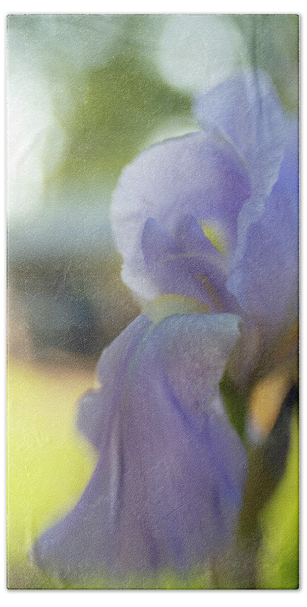  Iris Beach Towel featuring the photograph Lavender Blue 2 by Pamela Taylor