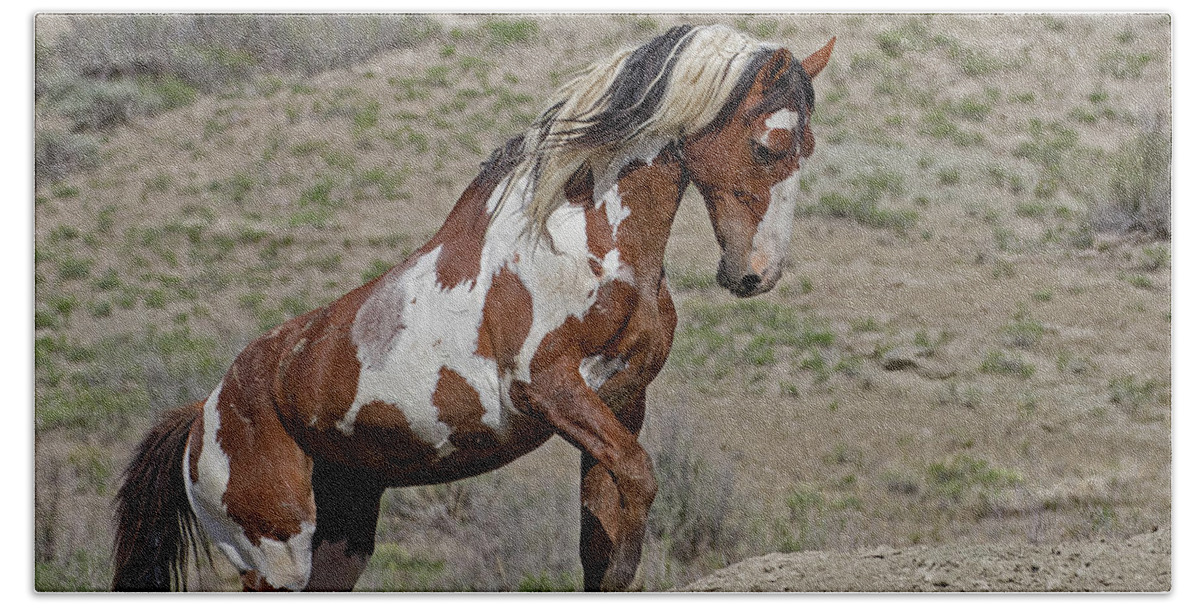 Mustangs Beach Towel featuring the photograph Leading to Water by Mindy Musick King