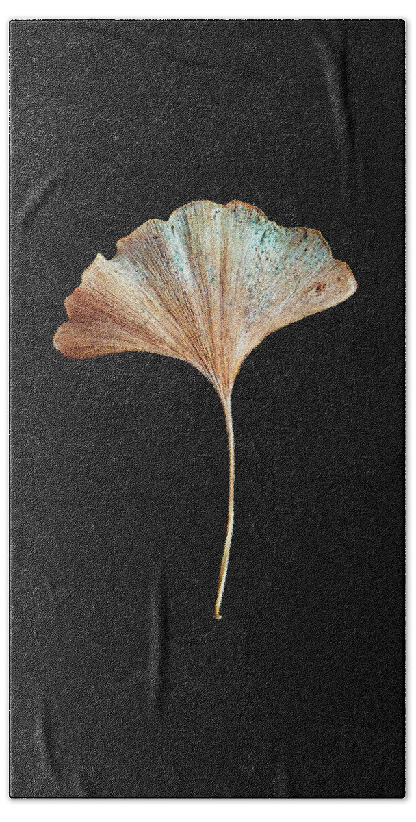Leaves Beach Sheet featuring the photograph Leaf 17 by David J Bookbinder