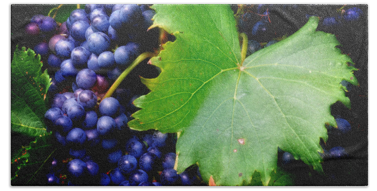 Grapes Beach Towel featuring the photograph Leaf and Grapes by Greg and Chrystal Mimbs