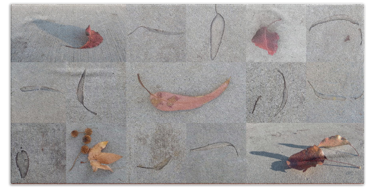 Botanical Beach Sheet featuring the photograph Leaves And Cracks Collage by Ben and Raisa Gertsberg