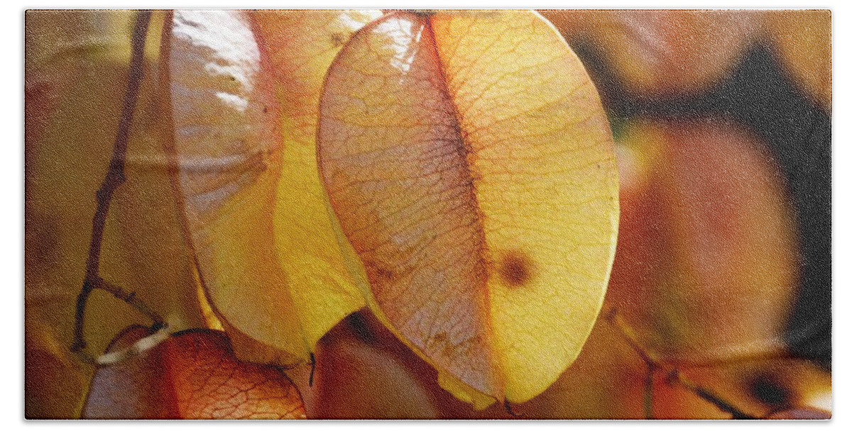 Leaves Beach Sheet featuring the photograph Leaves hang for Fall-Gerorgia by Adrian De Leon Art and Photography