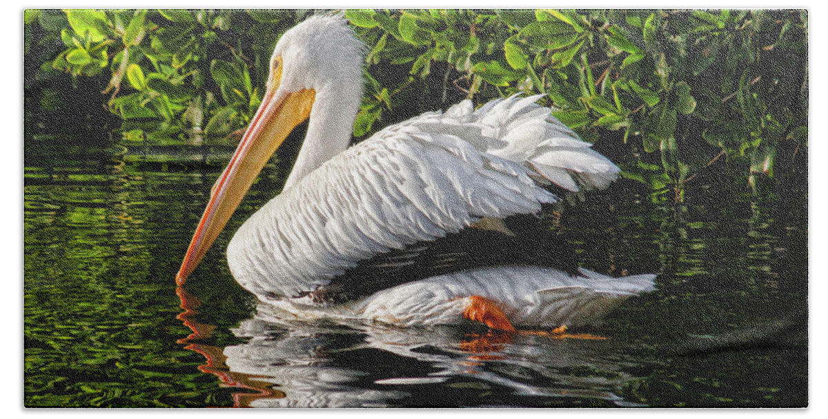 American White Pelican Beach Towel featuring the photograph Leaving Now by H H Photography of Florida by HH Photography of Florida