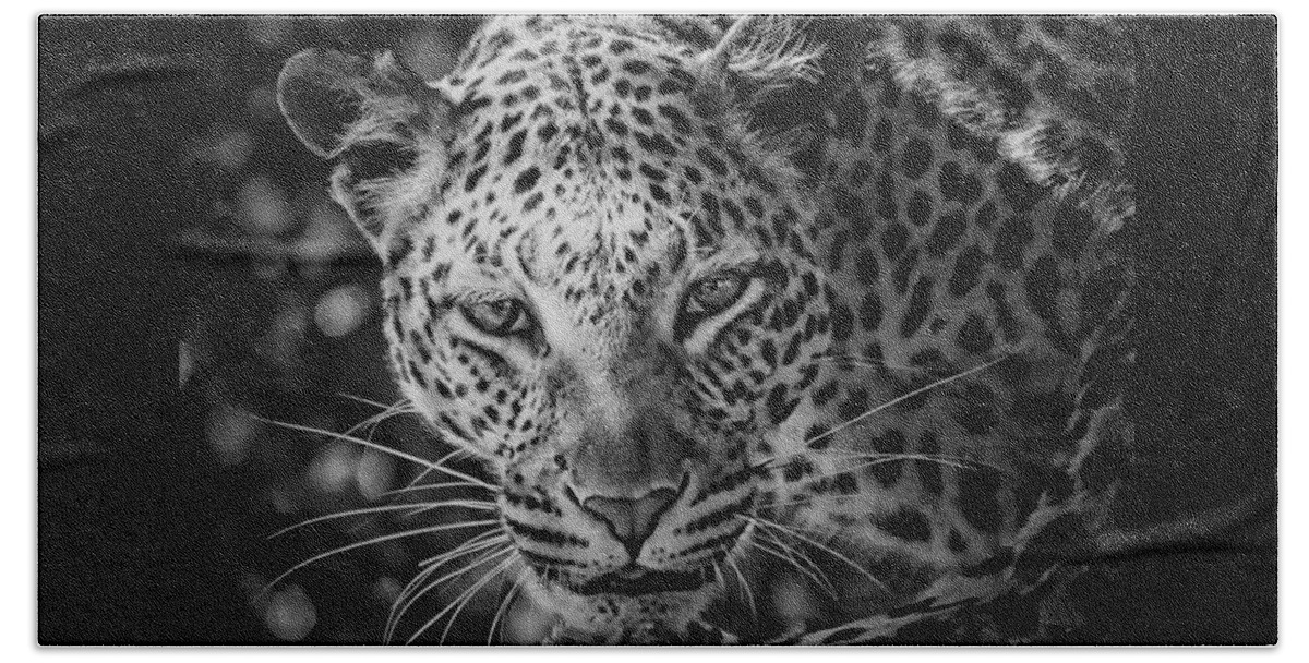 Leopard Beach Towel featuring the photograph Leopard, Black And White by Jean Francois Gil