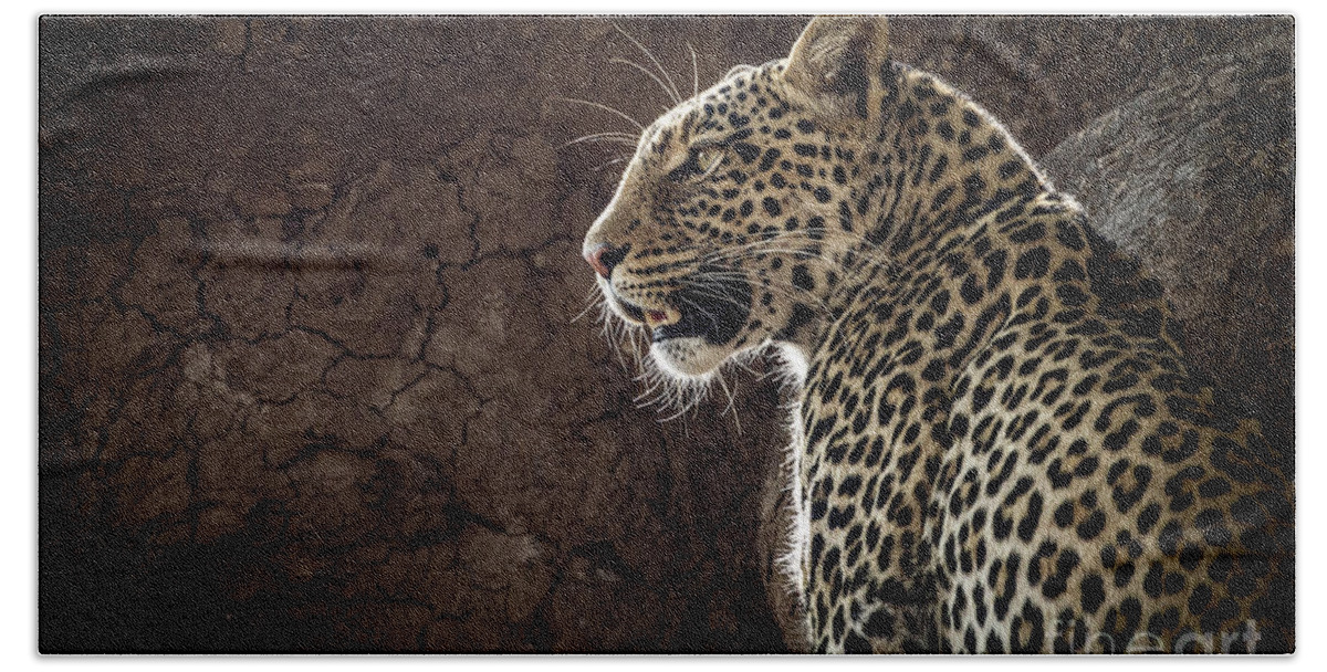 Botswana Beach Towel featuring the photograph Leopard by Patti Schulze