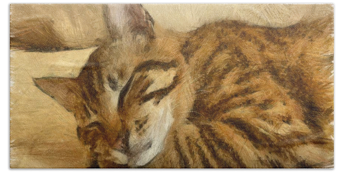 Tabby Cat Beach Towel featuring the drawing Let Sleeping Cats Lie by Taiche Acrylic Art