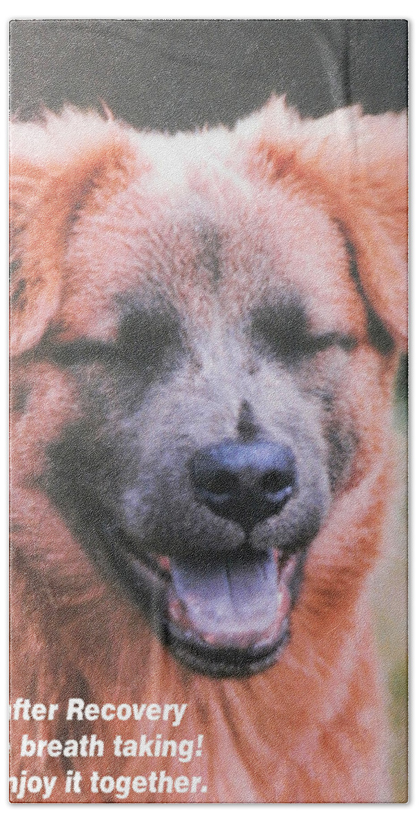 #happiness #dog #laughing #joke #recovery Beach Towel featuring the photograph Happy Dog Enjoying Life by Belinda Lee