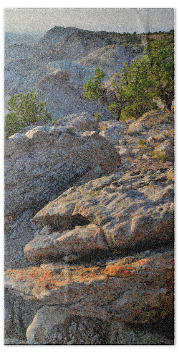 Little Park Road Bentonite Site Beach Towel featuring the photograph Lichen Covered Boulders Above Bang's Canyon by Ray Mathis