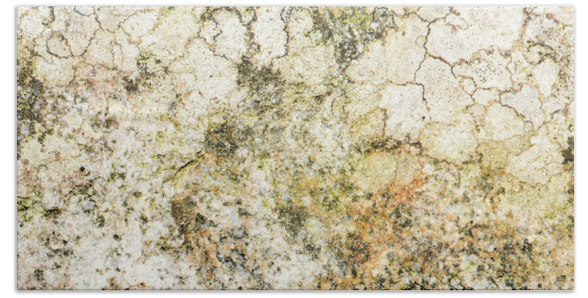 Background Beach Sheet featuring the photograph Lichen on a stone, background by Torbjorn Swenelius