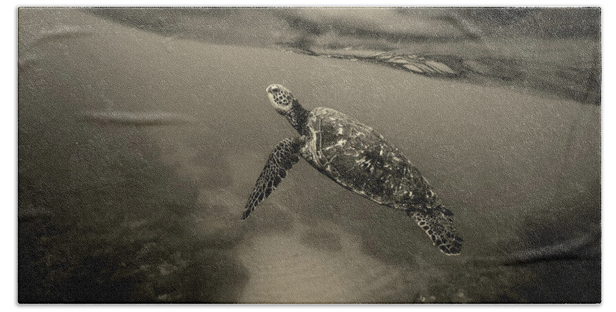 Turtle Beach Towel featuring the photograph Life Underwater by Mountain Dreams