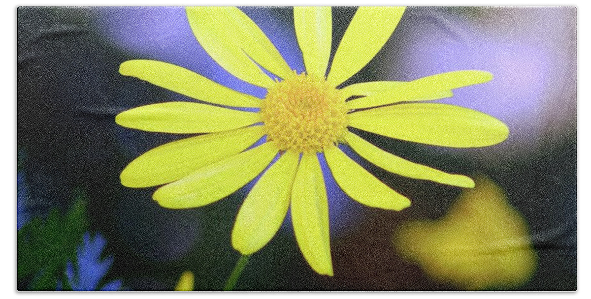 Flower Beach Sheet featuring the photograph Lifted Yellow Flower by Matt Quest