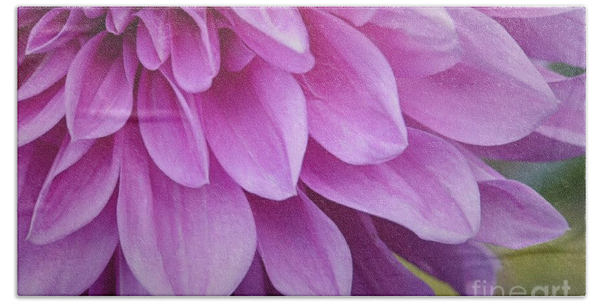 Dahlia Beach Towel featuring the photograph Light Purple Petals by Patricia Strand
