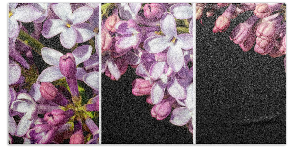 Triptych Beach Towel featuring the photograph Lilac Bouquet Triptych One by John Williams