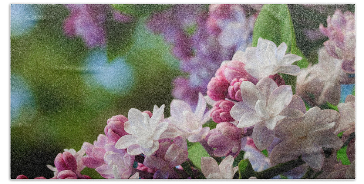 Illinois Beach Towel featuring the photograph Lilacs of Spring by Joni Eskridge