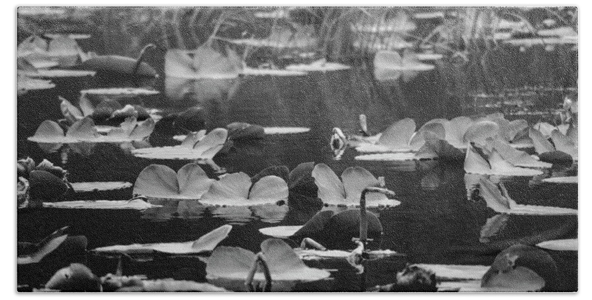 Landscapes Beach Sheet featuring the photograph Lilly Pond by Steven Clark