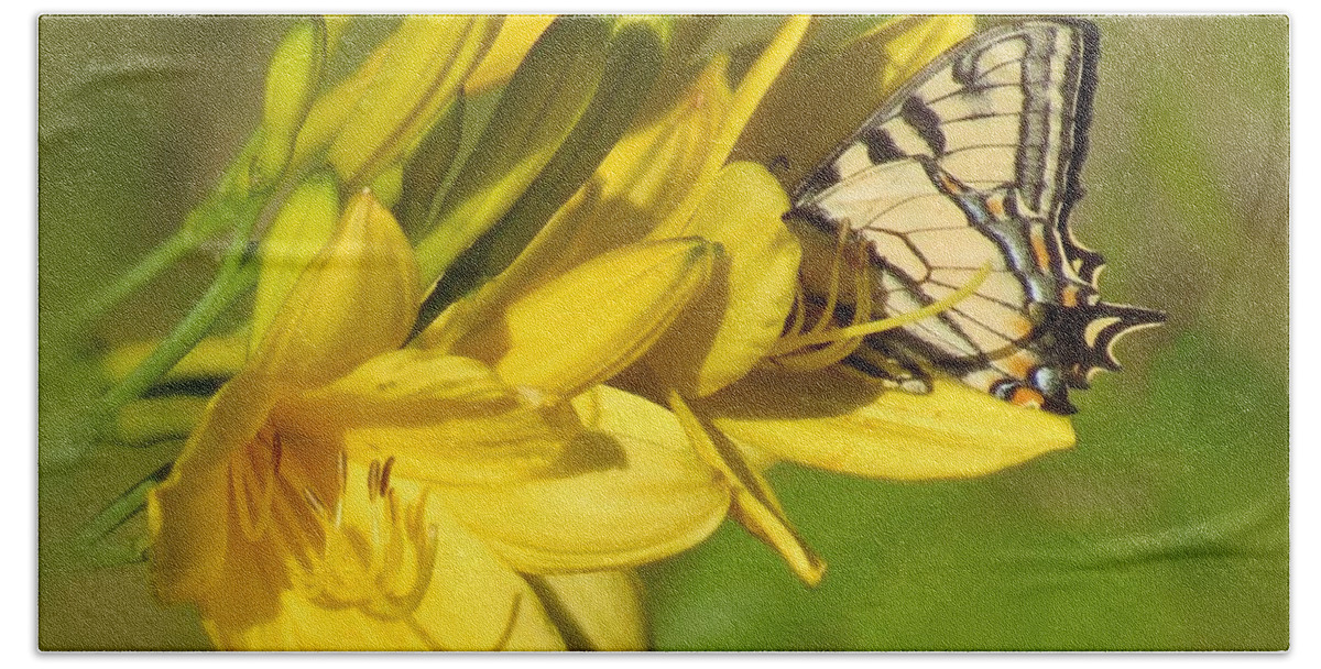 Tiger Swallowtail Beach Sheet featuring the photograph Lily Lover by MTBobbins Photography