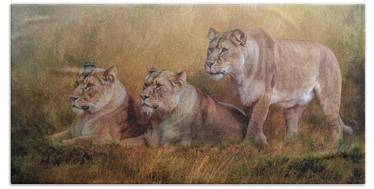Lionesses Beach Towel featuring the digital art Lionesses watching the herd by Brian Tarr