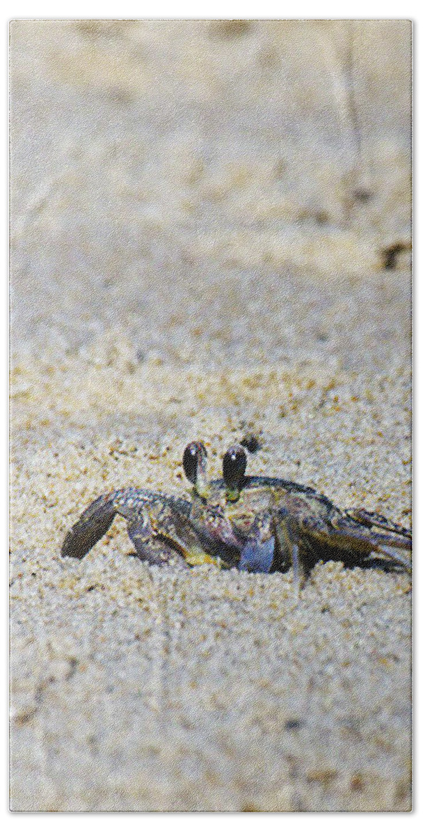 Crab Art Print Beach Towel featuring the photograph Little Nag's Head Crab by Patricia Griffin Brett