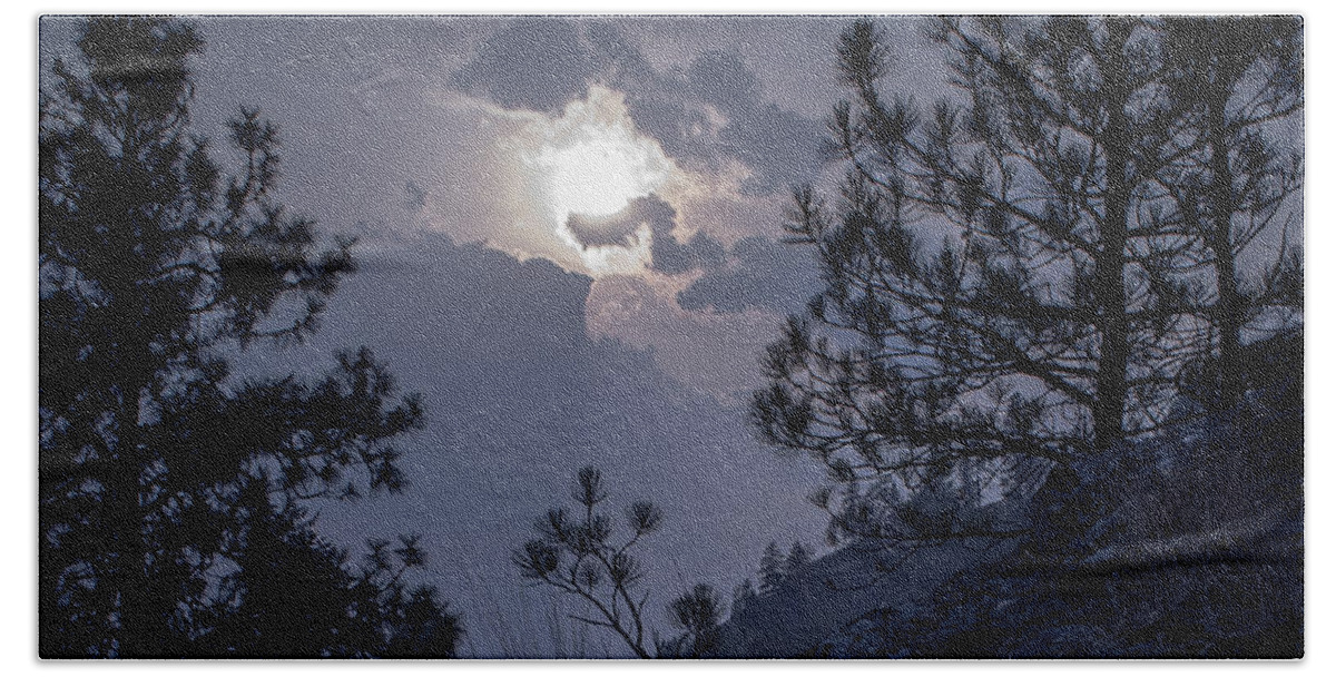 Rattlesnake Mt Beach Towel featuring the photograph Little Pine by Troy Stapek