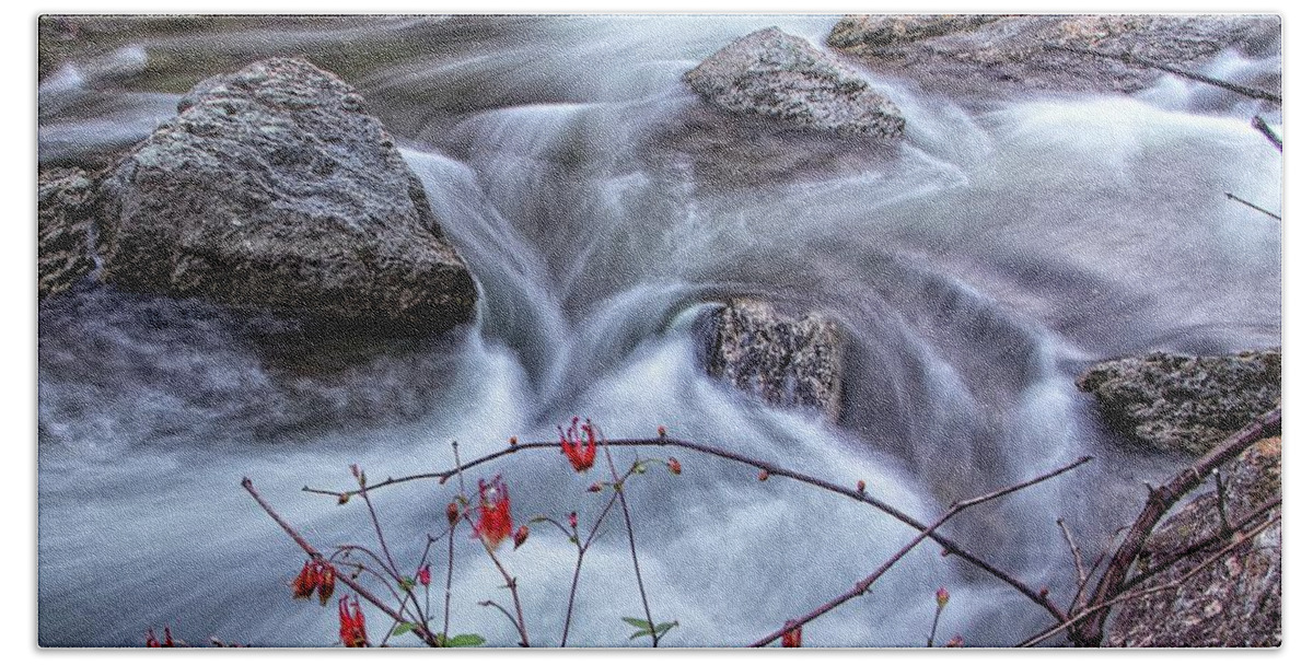 Creek Beach Towel featuring the photograph Little River Columbines by Alan Raasch