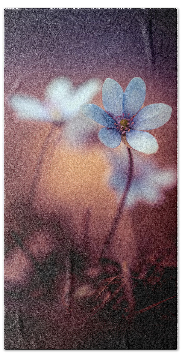 Afternoon Beach Sheet featuring the photograph Liverworts by Jaroslaw Blaminsky