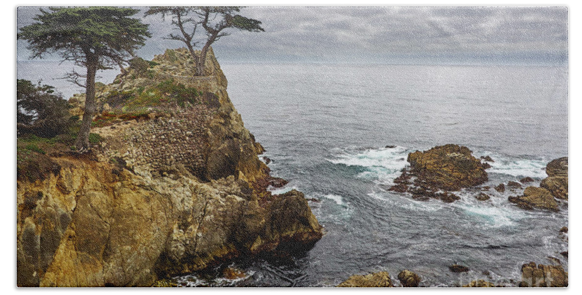 Lone Cypress Beach Towel featuring the photograph Living on the edge by Steve Ondrus