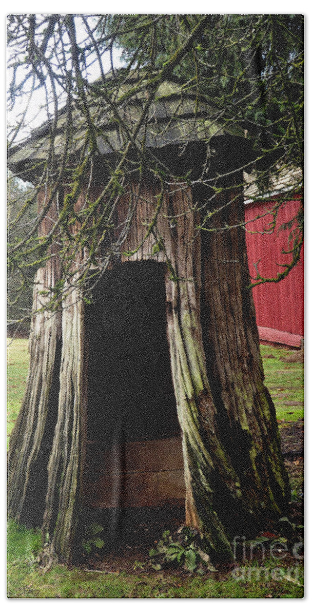 Clay Beach Sheet featuring the photograph Loggers Outhouse by Clayton Bruster