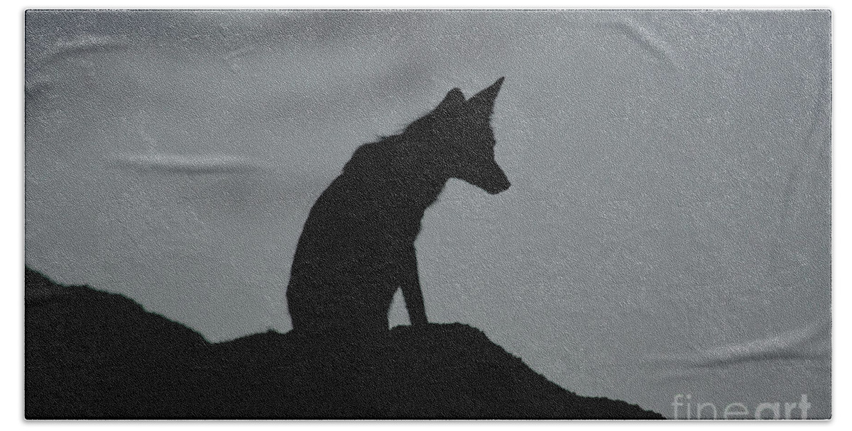Fox Beach Sheet featuring the photograph Lone Fox by Vivian Martin