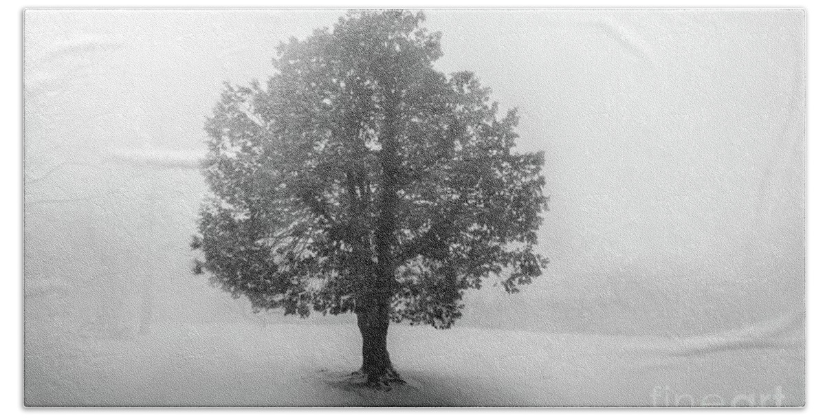 Tree Beach Sheet featuring the photograph Lone Snow Tree on Long Island, New York by Alissa Beth Photography
