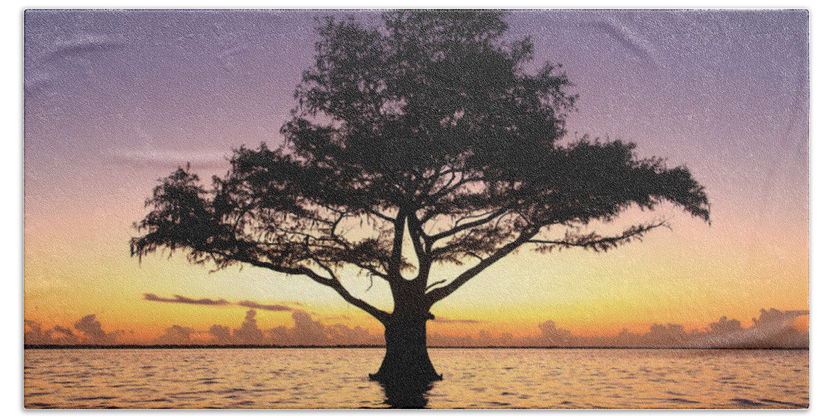 Blue Cypress Lake Beach Towel featuring the photograph Lone tree at Blue Cypress Lake by Stefan Mazzola