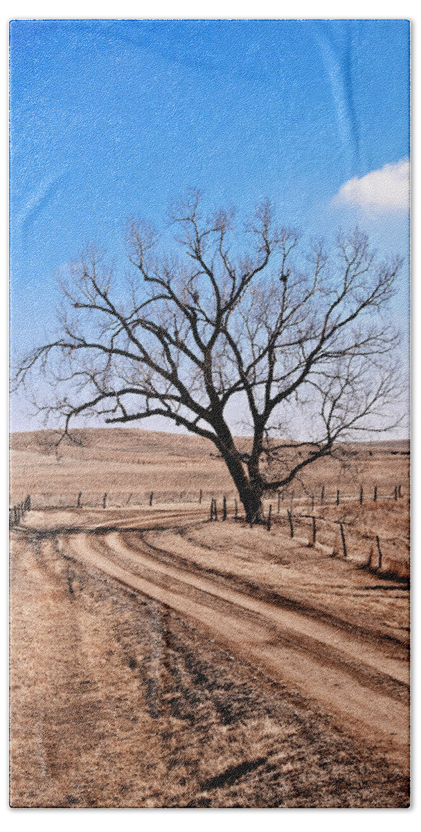 Flint Hills Beach Towel featuring the photograph Lone Tree February 2010 by Eric Benjamin