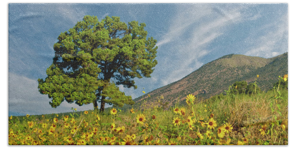 Arizona Beach Towel featuring the photograph Lone Tree in a Sunflower Field by Jeff Goulden