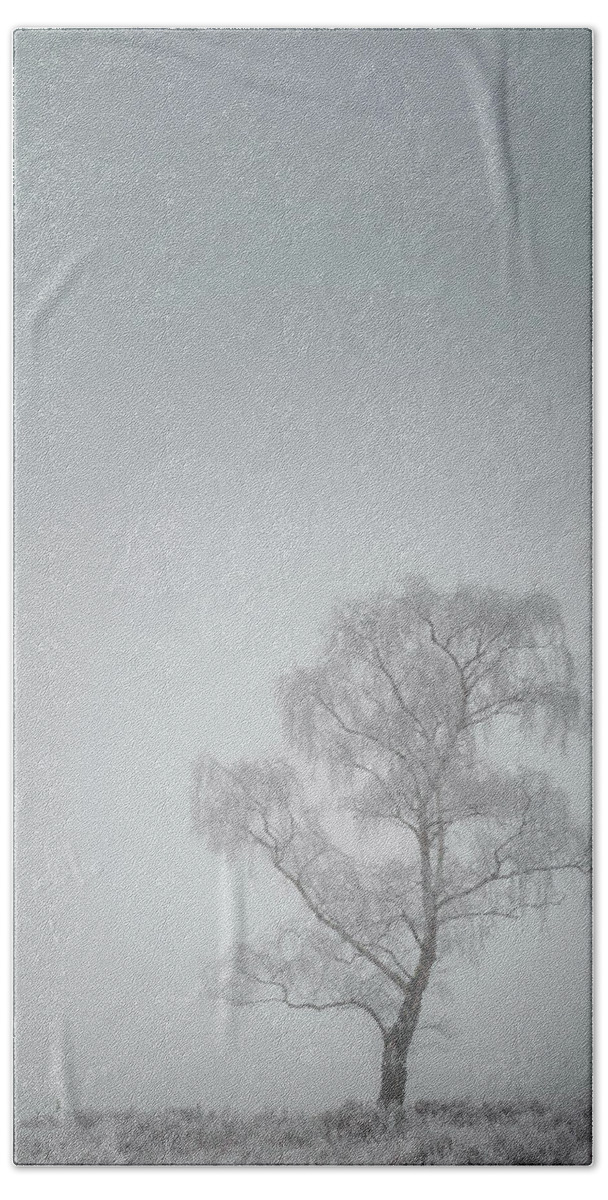 Bare Beach Towel featuring the photograph Lone Tree in Winter by Andy Astbury