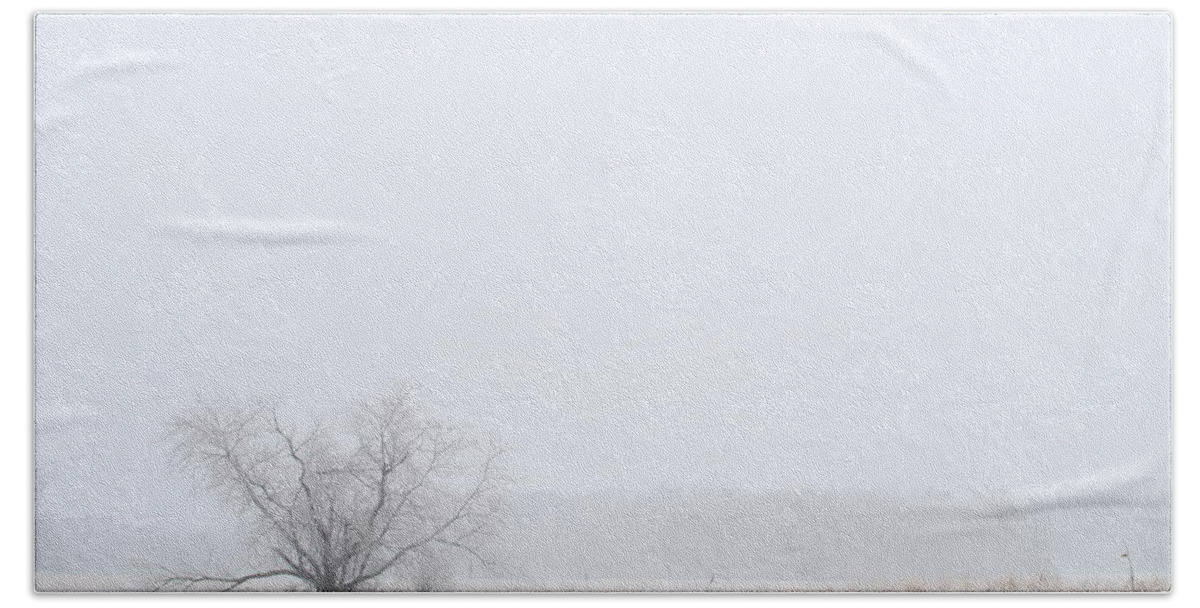 Winter Beach Towel featuring the photograph Lonely by Monroe Payne