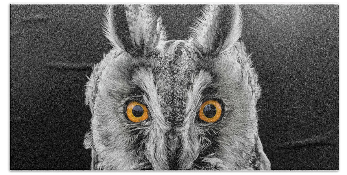 Long Eared Owl Beach Towel featuring the photograph Long Eared Owl 2 by Nigel R Bell