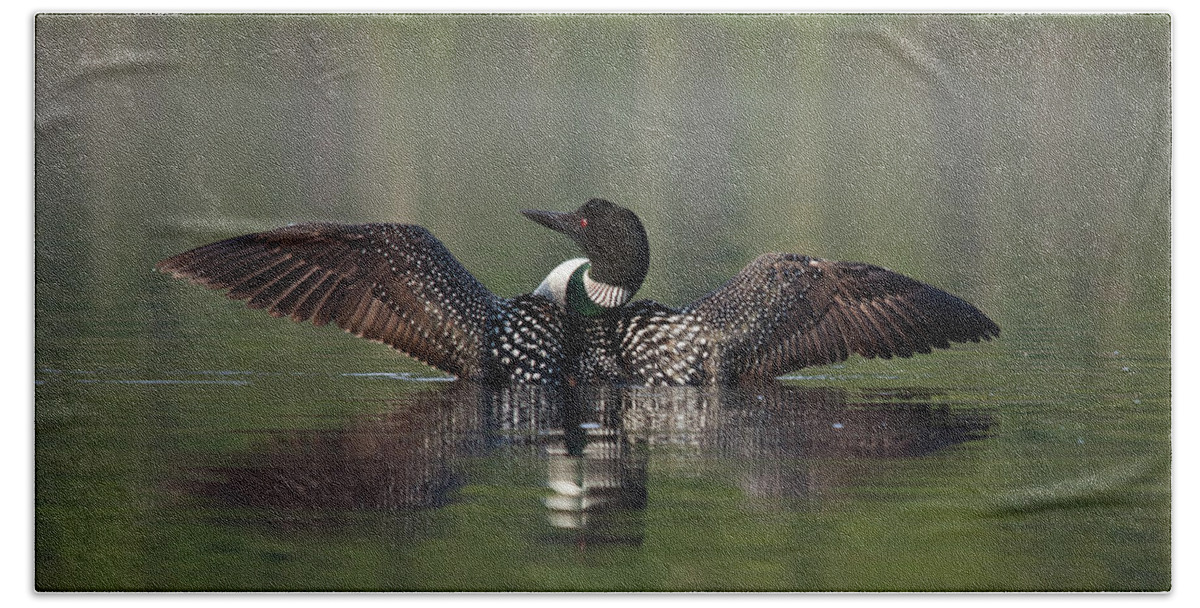 Long Pond Beach Sheet featuring the photograph Loon by Benjamin Dahl