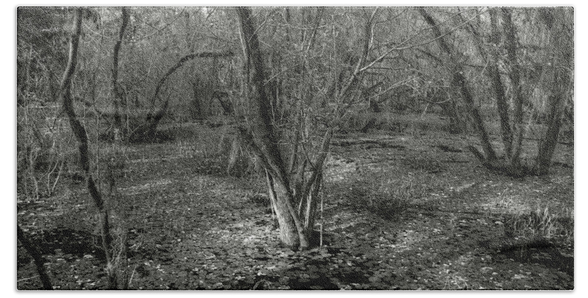  Beach Sheet featuring the photograph Loop Road Swamp #3 by Michael Kirk
