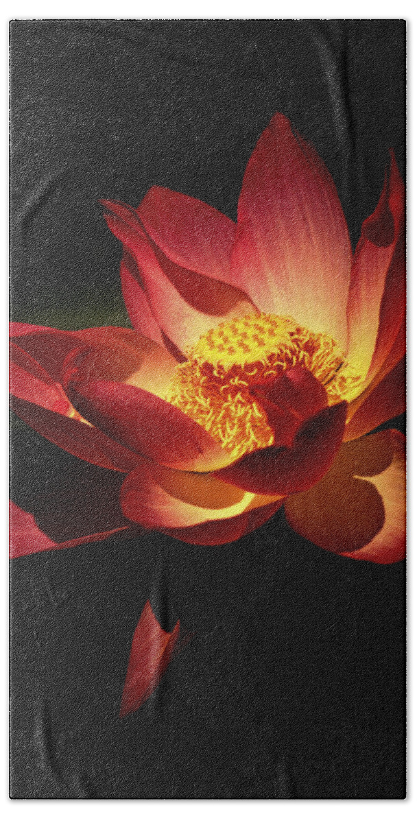 Flowers Beach Sheet featuring the photograph Lotus Blossom by Paul W Faust - Impressions of Light