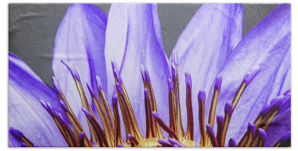 Lotus Beach Towel featuring the photograph Lotus Flower by Cesar Vieira