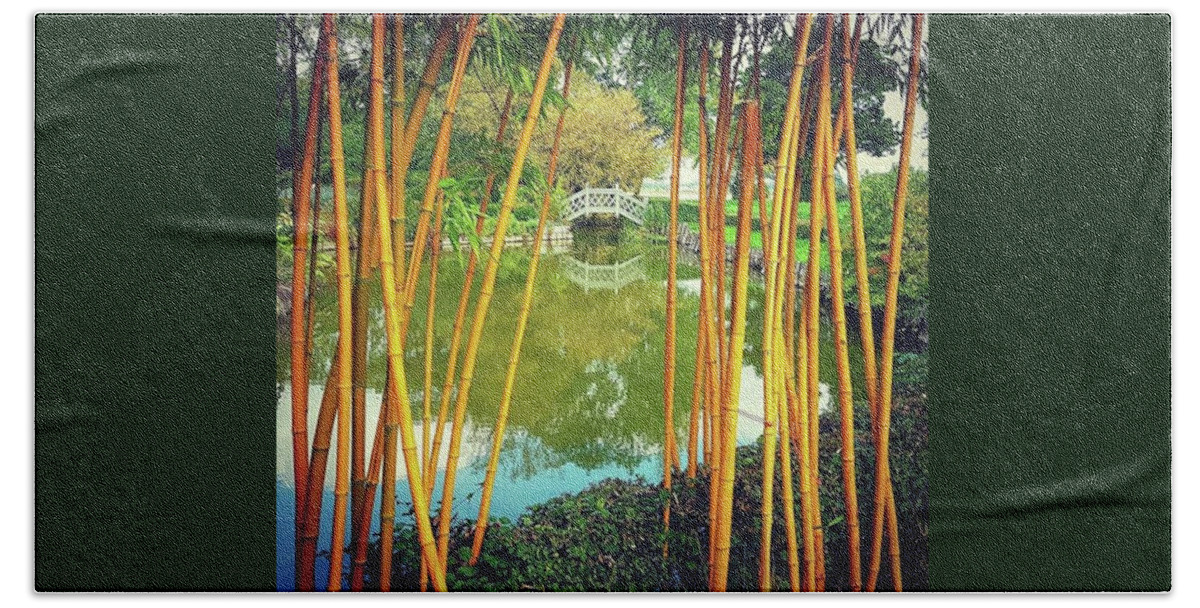 Ornatebridge Beach Towel featuring the photograph Bamboo View by Rowena Tutty